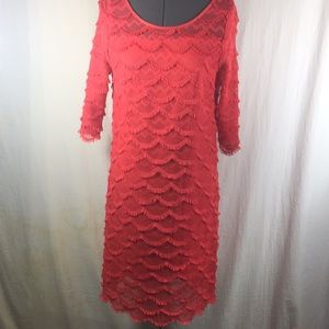 Jessica H Lace Shift 3/4 Sleeve Dress Size 10
